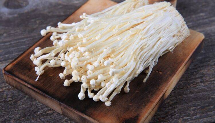 enoki mushrooms benefits (एनोकी मशरूम) Google India Search Trends 2021