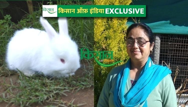 खरगोश पालन अंगोरा खरगोश (rabbit farming angora breed)