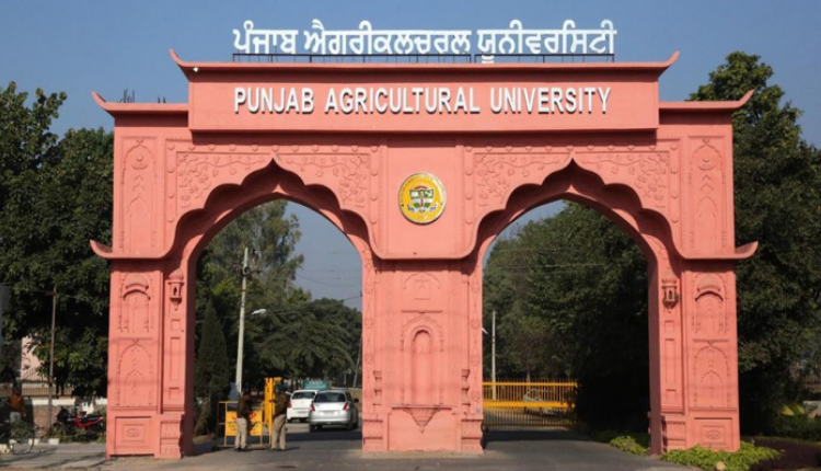 पंजाब कृषि विश्वविद्यालय