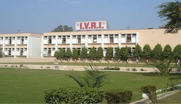 आईसीएआर- भारतीय पशु चिकित्सा अनुसंधान संस्थान इज्ज़तनगर