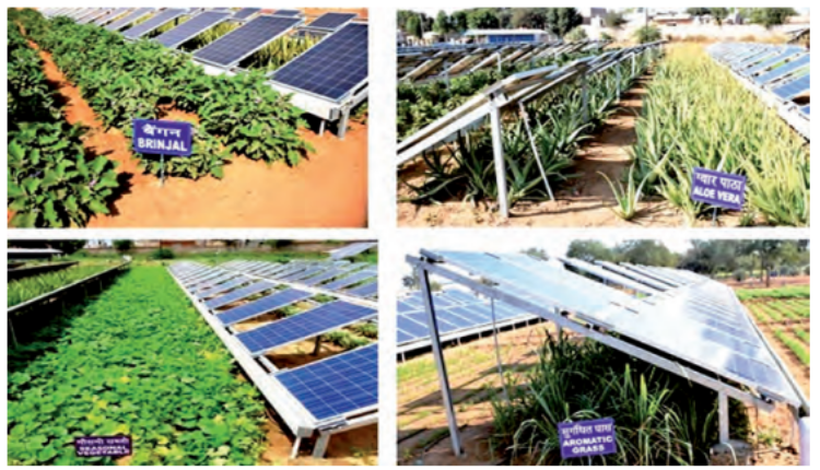 kharif and rabi crops in agricultural voltaic system
