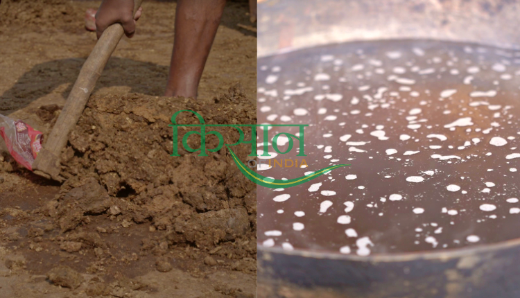 Desi cow - cow dung and urine used in natural fertilizers