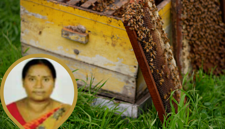 अधिक कमाई के लिए खेती के साथ मधुमक्खी पालन व्यवसाय बना महिला किसान के लिए जरिया