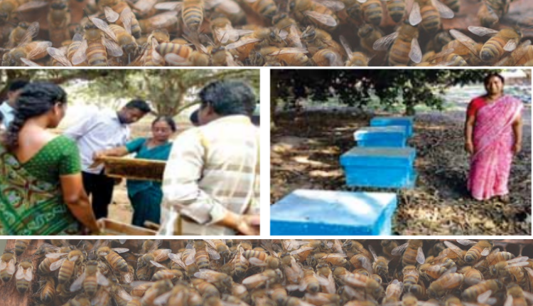 अधिक कमाई के लिए खेती के साथ मधुमक्खी पालन व्यवसाय बना महिला किसान के लिए जरिया 