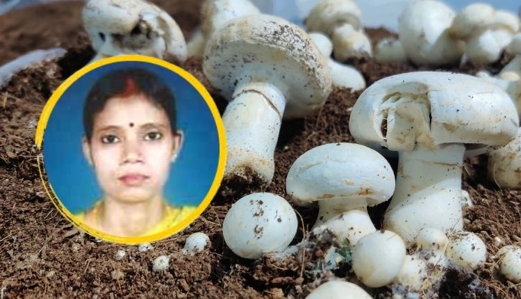 मशरूम की खेती महिला किसान बिहार (bihar woman farmer mushroom farming