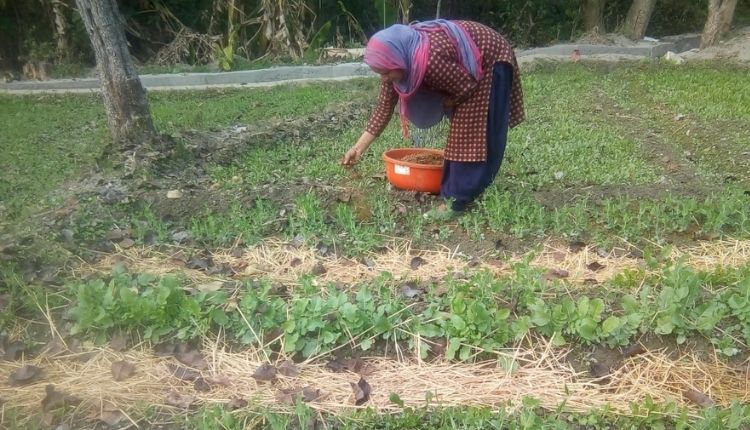 प्राकृतिक खेती अमित शाह (natural farming zero budget natural farming)