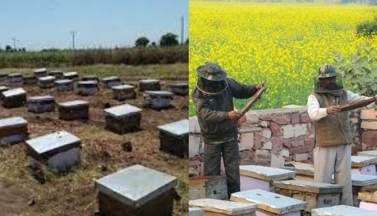 खादी इंडिया ‘मोबाइल हनी प्रोसेसिंग यूनिट Mobile Honey Processing Van
