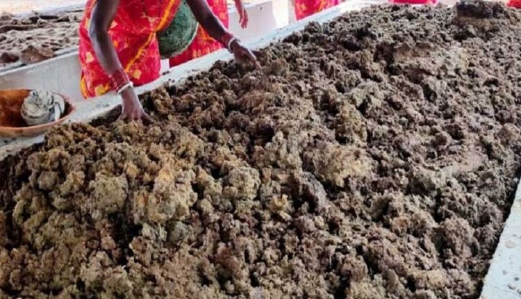 गोबर की खाद से ज़मीन बनी उपजाऊ cow dung compost