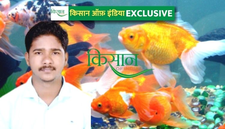 सजावटी मछली पालन ornamental fish farming