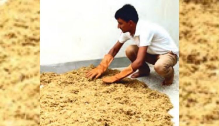 मटकों में मशरूम की खेती growing mushroom in pots