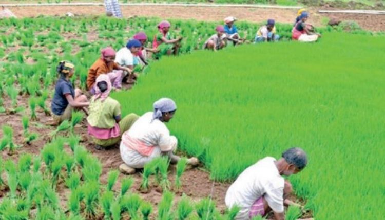 UP Election 2022 उत्तर प्रदेश किसान