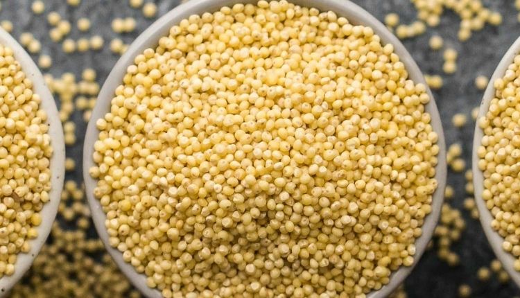 Millet cultivation