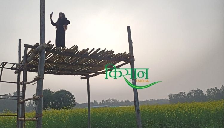 इन युवाओं ने तैयार किया जैविक खेती (Organic Farming) का आधुनिक फ़ार्मिंग मॉडल, हज़ारों की संख्या में किसानों को जोड़ा