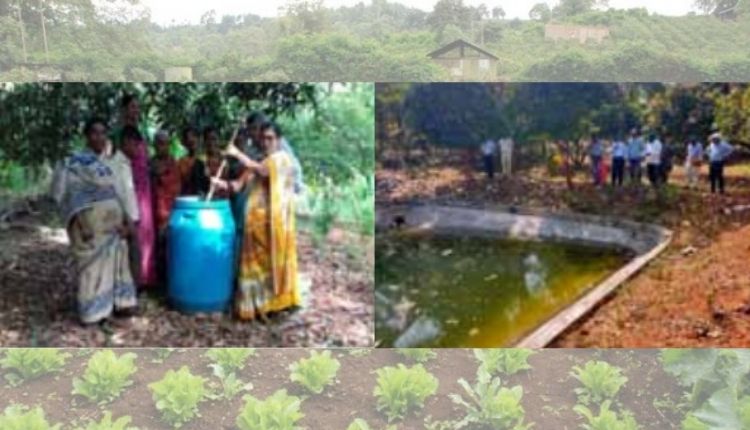 karnataka woman organic farming जैविक खेती