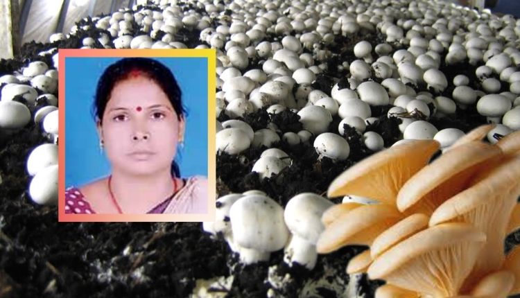 मशरूम की खेती mushroom cultivation bihar woman