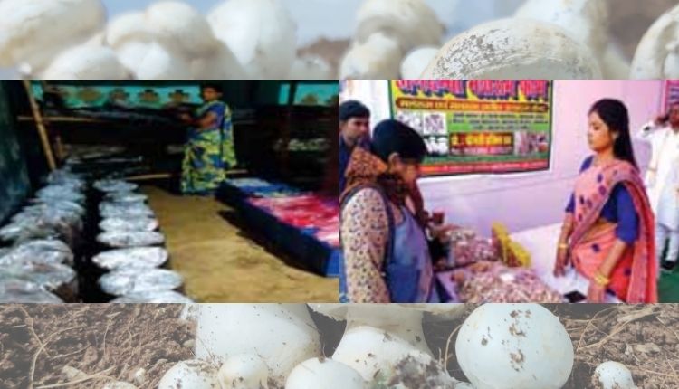 मशरूम की खेती mushroom cultivation bihar woman