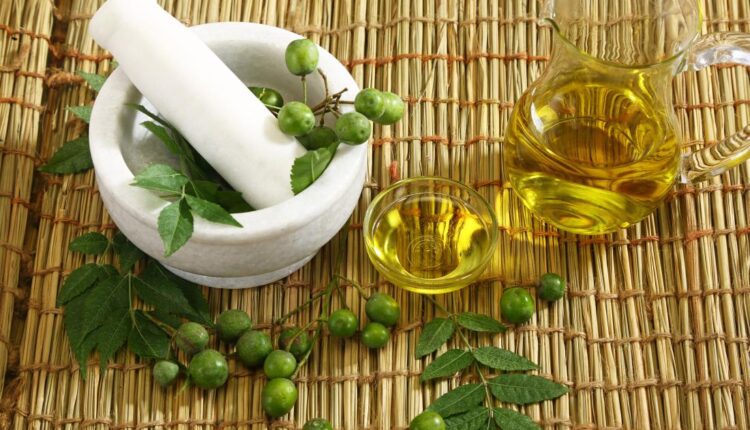 नीम का पेड़ के लाभ कीटनाशक (neem tree benefits