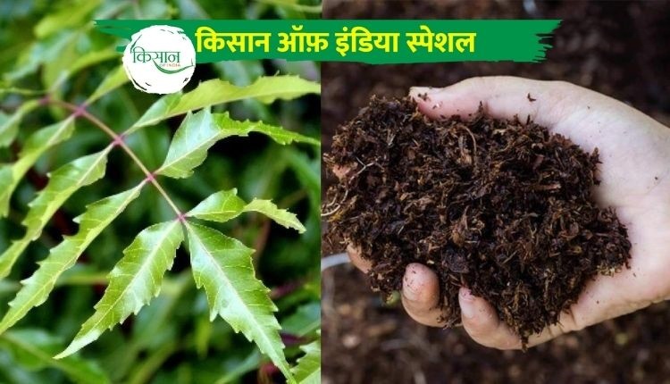 नीम का पेड़ के लाभ कीटनाशक (neem tree benefits