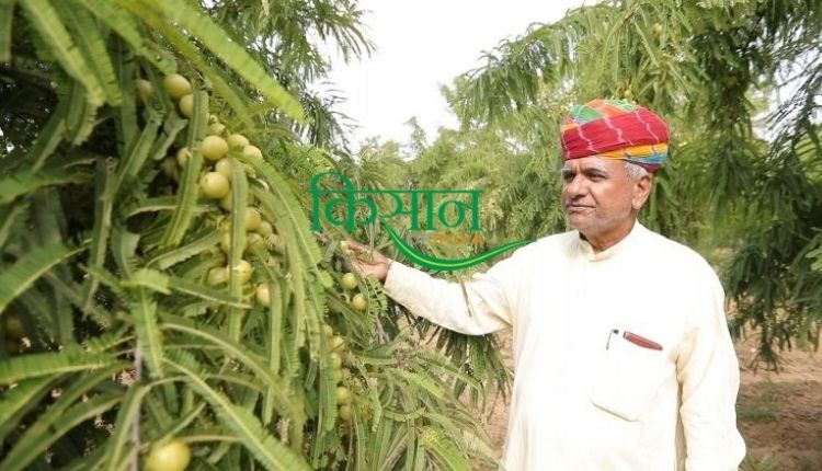 प्राकृतिक खेती प्रधानमंत्री मोदी zero budget farming natural farming