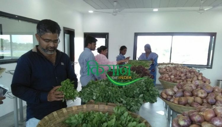 chhattisgarh farmer vegetable outlet छत्तीसगढ़ के किसान मंजीत सिंह सलूजा 
