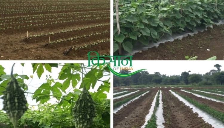 chemical fertilizers for agriculture
