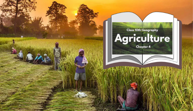 Agriculture in NCERT Syllabus