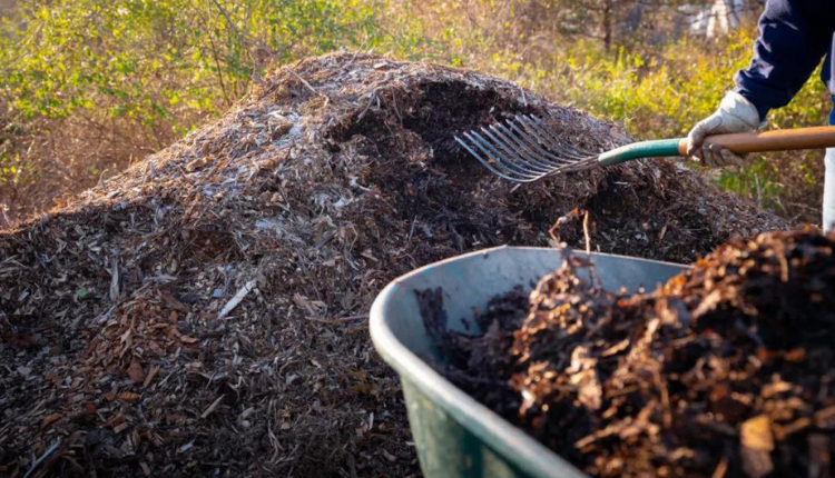 प्राकृतिक खेती (Natural Farming): बर्कले कंपोस्टिंग विधि से तीन हफ्ते से भी कम समय में बनती है प्राकृतिक खाद