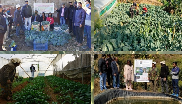 Integrated Nutrition Management in Broccoli: जानिये मिज़ोरम के एक कृषि विज्ञान केंद्र ने तकनीक का इस्तेमाल करके कैसे बढ़ाई ब्रोकली की उपज और बनाया उसे ज़्यादा पोषक