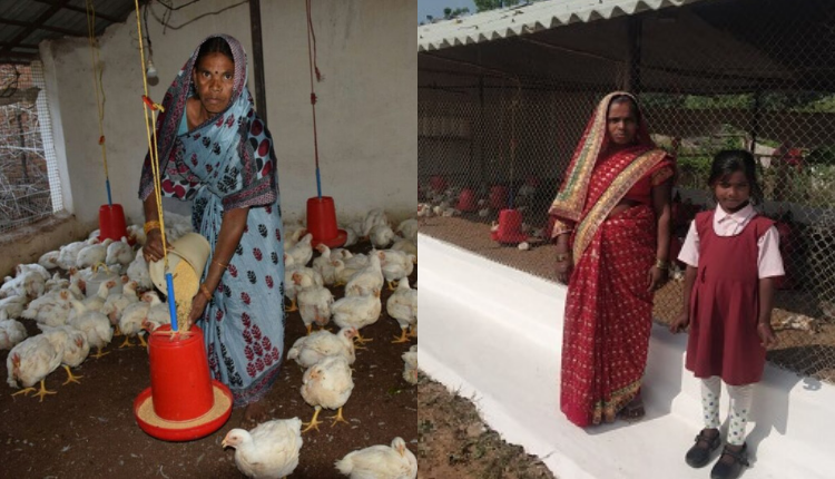 मध्य प्रदेश वुमन पोल्ट्री प्रोड्यूसर कंपनी ने जानिए मुर्गीपालन कर रही महिलाओं की आय बढ़ाने में कैसे की मदद 