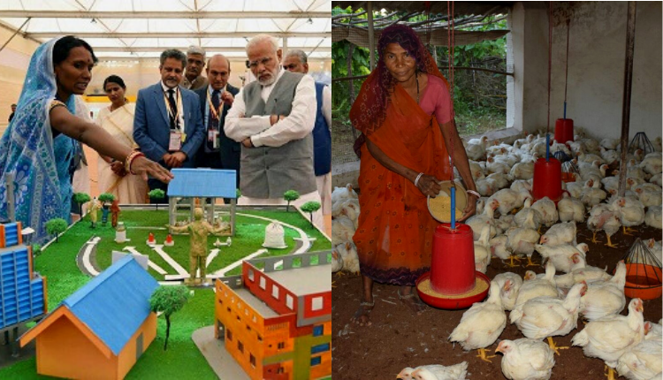 मध्य प्रदेश वुमन पोल्ट्री प्रोड्यूसर कंपनी ने जानिए मुर्गीपालन कर रही महिलाओं की आय बढ़ाने में कैसे की मदद