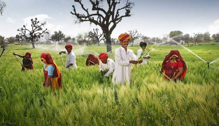 राजस्थान कृषि बजट 2022