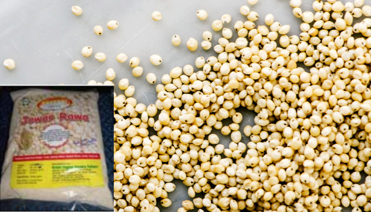 ज्वार (sorghum) से बने महंगे उत्पादों ने बदली सोलापुर के किसानों की किस्मत