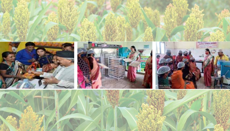 कृषि विज्ञान केंद्र, सोलापुर ने इन संवर्धित  उत्पादों को बनाने के लिए महिला किसानों में कौशल विकसित करने का प्रयास किया