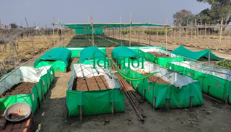 वर्मीकम्पोस्ट खाद यूनिट vermicompost unit