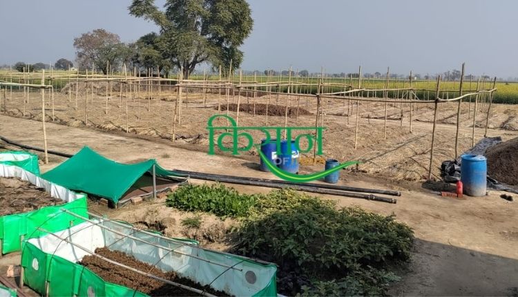 वर्मीकम्पोस्ट खाद यूनिट vermicompost unit