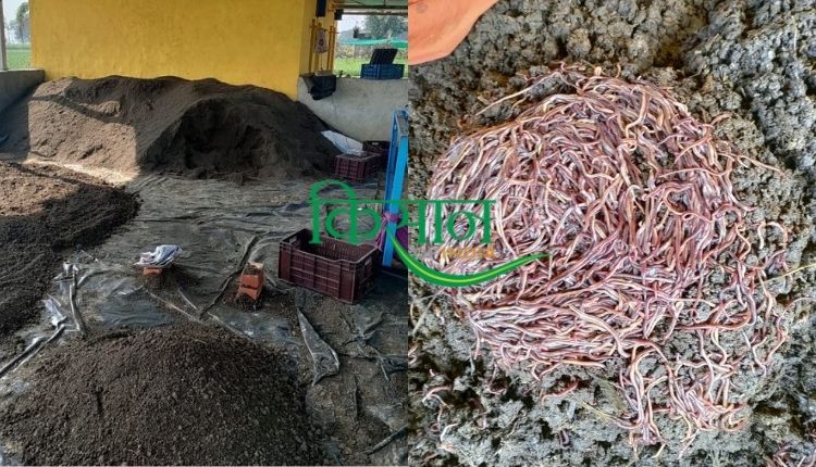 वर्मीकम्पोस्ट खाद यूनिट vermicompost unit