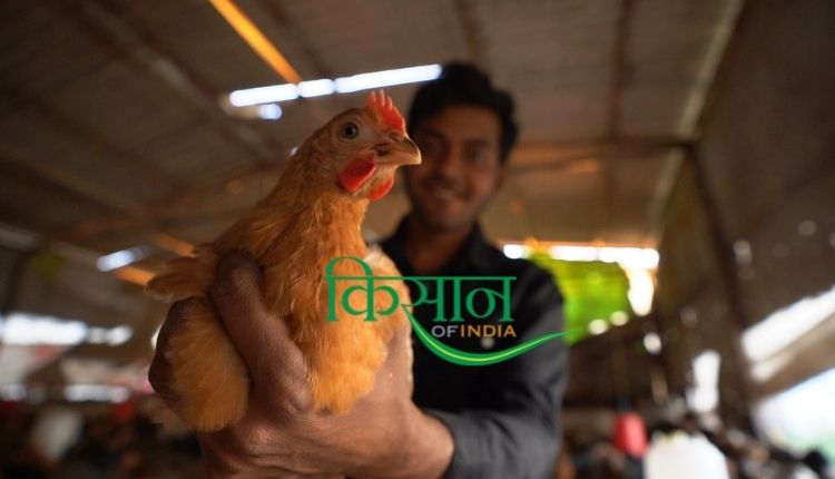 देसी मुर्गीपालन poultry farming business