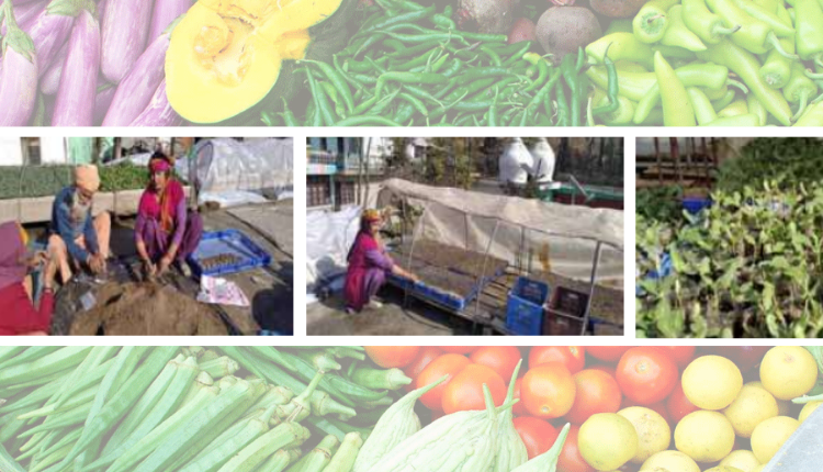 Vegetable Farming: मज़दूरी छोड़ शुरू की खेती और सब्ज़ियां उगाकर सुनीता कुमारी बन गई सफल महिला किसान