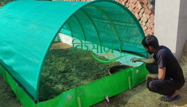 अजोला की खेती Azolla Cultivation