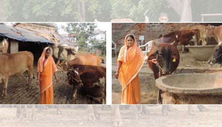 डेयरी फ़ार्मिंग (Dairy Farming): बिहार की इस महिला ने एक गाय से शुरू किया डेयरी व्यवसाय, आज कमा रही अच्छा मुनाफ़ा