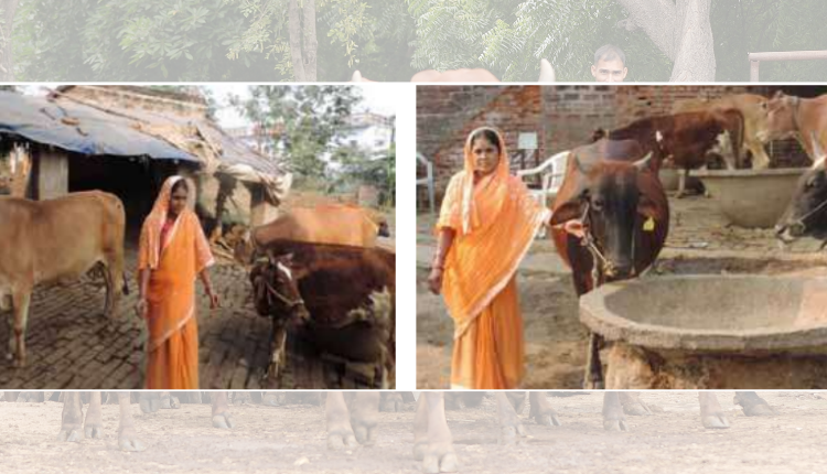डेयरी फ़ार्मिंग (Dairy Farming): बिहार की इस महिला ने एक गाय से शुरू किया डेयरी व्यवसाय, आज कमा रही अच्छा मुनाफ़ा