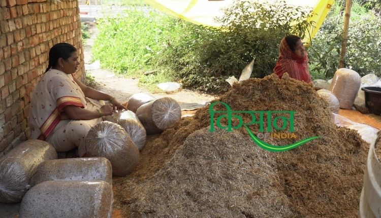 मशरूम उत्पादन बिजनेस mushroom ladies of india bihar mushroom lady anita devi