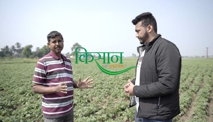 धान की खेती paddy cultivation west bengal hooghly