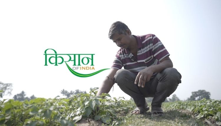 धान की खेती paddy cultivation west bengal hooghly water management