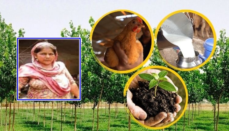 आधुनिक खेती पंजाब महिला किसान modern farming punjab woman farmer
