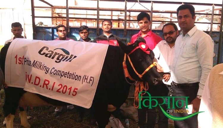 Dairy Farming: डेयरी फ़ार्मिंग haryana ravi khokhar