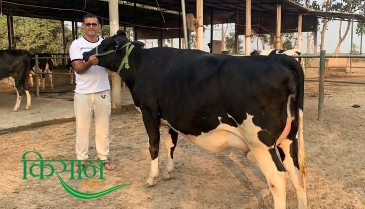 Dairy Farming: डेयरी फ़ार्मिंग haryana ravi khokhar