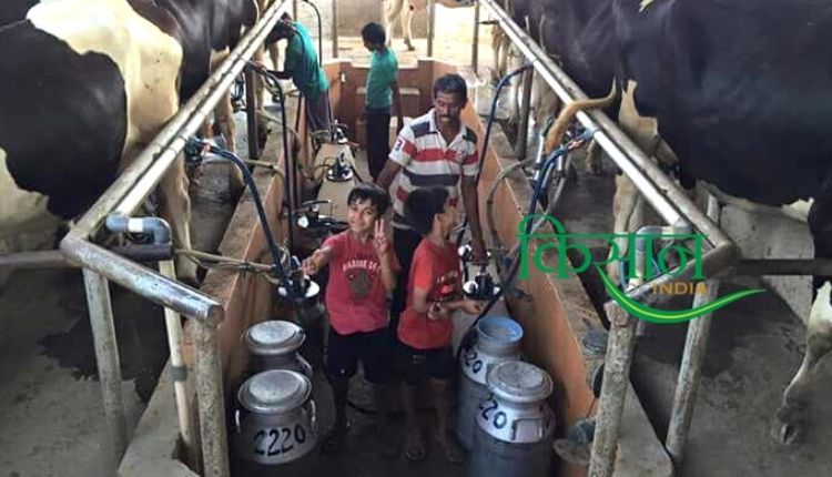 Dairy Farming: डेयरी फ़ार्मिंग haryana ravi khokhar