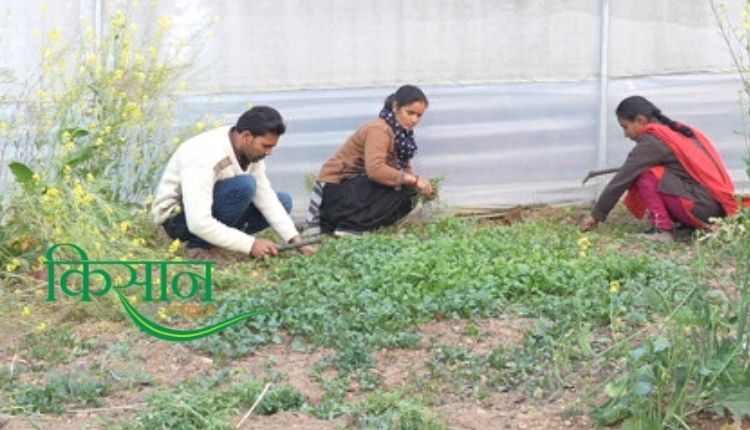 जैविक खेती उत्तराखंड मनोज भट्ट uttarakhand organic farming