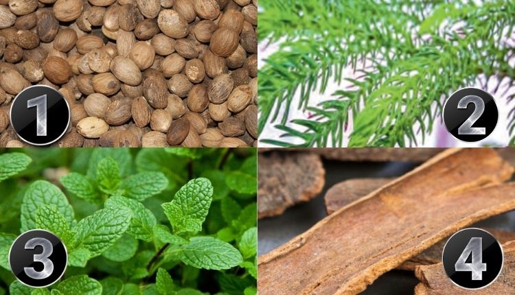 Herbal Feed Additives